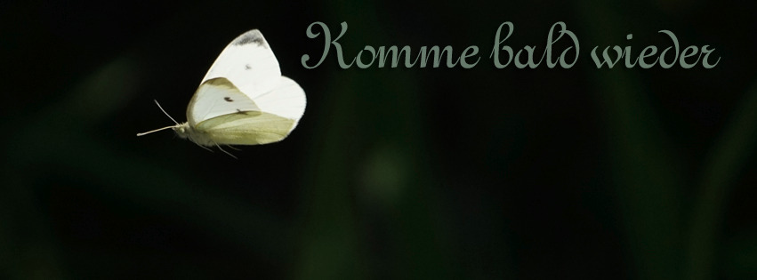 Komme bald wieder Schmetterling FB Banner Komme bald wieder Schmetterling FB Banner