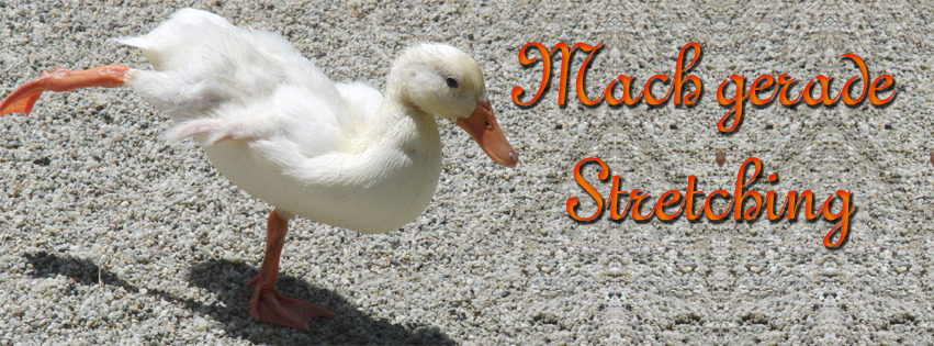 Mach gerade Stretching FB Banner Mach gerade Stretching FB Banner