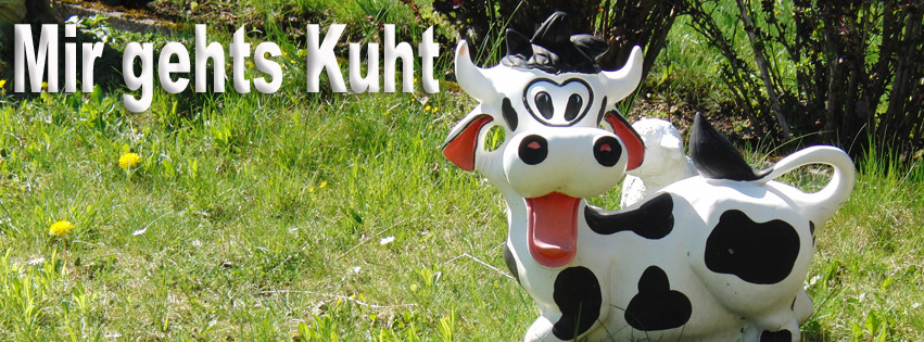 Mir gehts Kuht FB Banner Mir gehts Kuht FB Banner