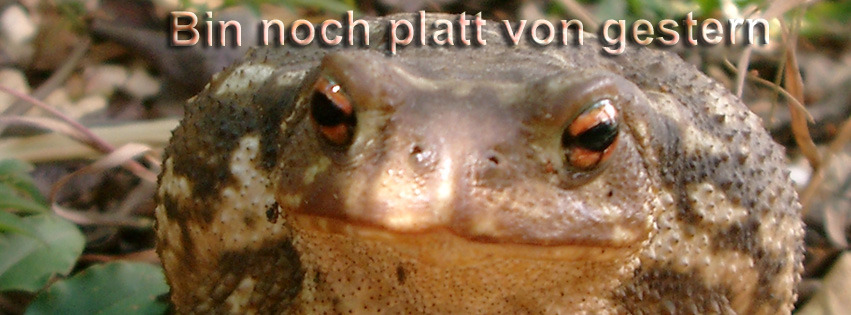 Platt von Gestern FB Banner Platt von Gestern FB Banner