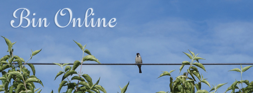 Vogel ist Online FB Banner Vogel ist Online FB Banner