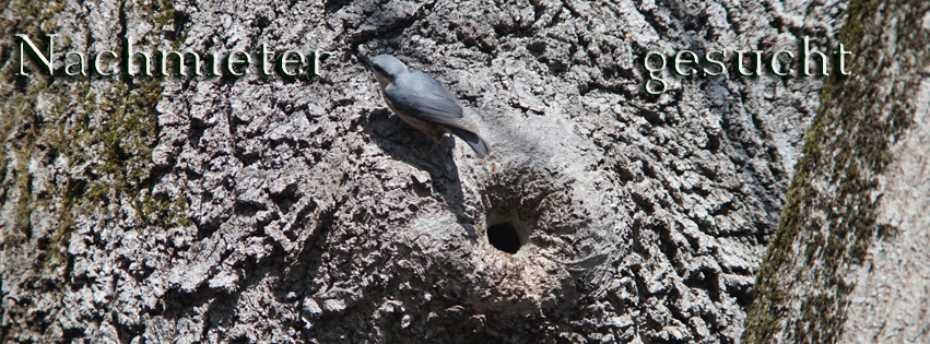 Nachmieter gesucht FB Banner Nachmieter gesucht FB Banner