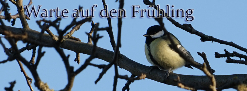 Warte auf den Frühling FB Banner Warte auf den Frühling FB Banner
