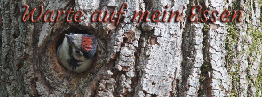 Warte auf mein Essen FB Banner Warte auf mein Essen FB Banner