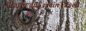 Warte auf mein Essen FB Banner Warte auf mein Essen FB Banner