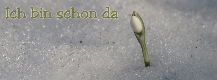 Schneeklöckchen ist schon da FB Banner Schneeklöckchen ist schon da FB Banner