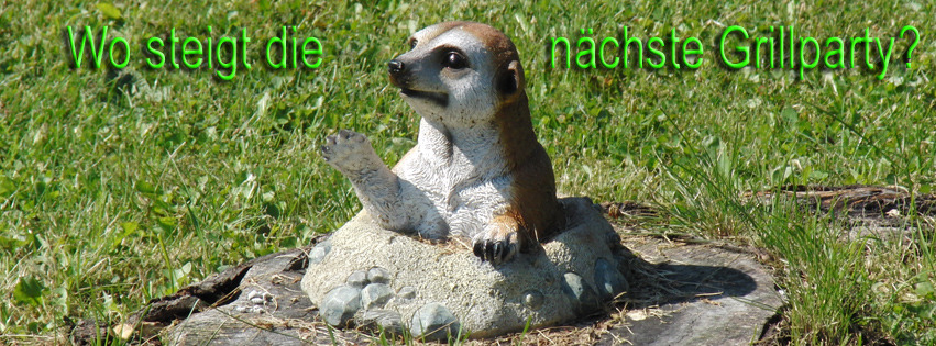 Wo ist die nächste Grillparty FB Banner Wo ist die nächste Grillparty FB Banner