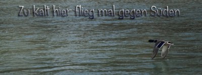 Titelbilder für Facebook