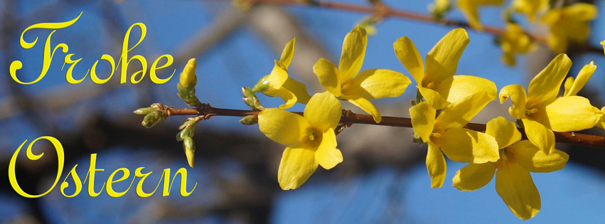 Frohe Ostern Banner-2018 FB Banner Frohe Ostern Banner-2018 FB Banner