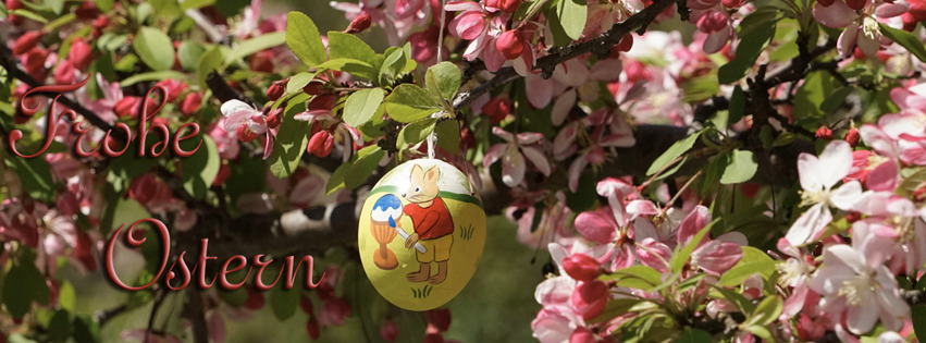 Frohe Ostern Blüten und Ei FB Banner Frohe Ostern Blüten und Ei FB Banner