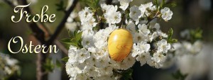 Frohe Ostern Kirscblüte und Ei FB Banner Frohe Ostern Kirscblüte und Ei FB Banner