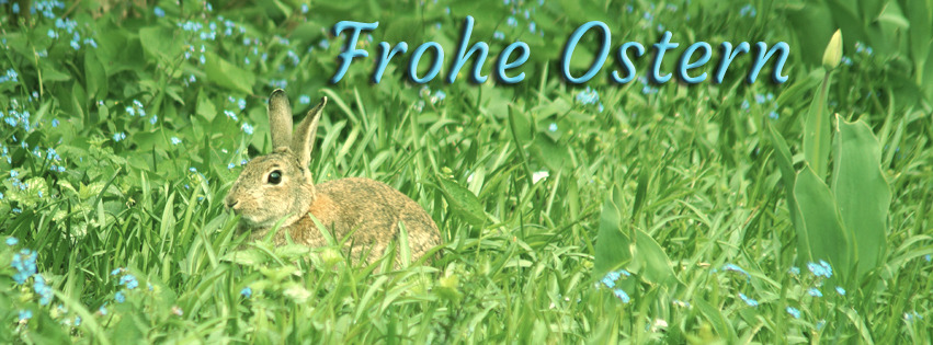 Hasenbanner Frohe Ostern  Hasenbanner Frohe Ostern