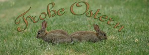 Hasenpaar Frohe Ostern FB Banner Hasenpaar Frohe Ostern FB Banner