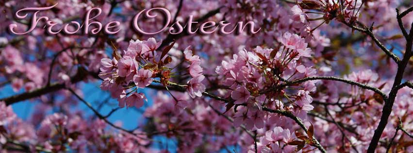 Kirschblüten Ostergrüße FB Banner Kirschblüten Ostergrüße FB Banner