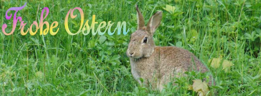 Osterhase Ostergrüße FB Banner Osterhase Ostergrüße FB Banner