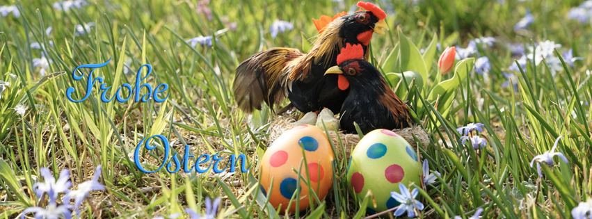 Osterkarte Banner FB Osterkarte Banner FB