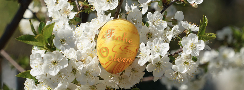 Frohe Ostern 2023 FB Banner Frohe Ostern 2023 FB Banner