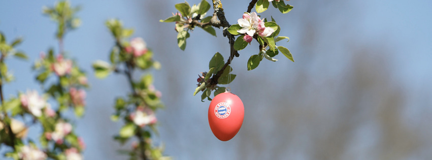 Osternei für FC Bayernfans FB Banner Osternei für FC Bayernfans FB Banner