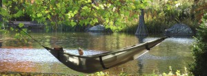 Abhängen im Herbst FB-Banner Abhängen im Herbst FB-Banner