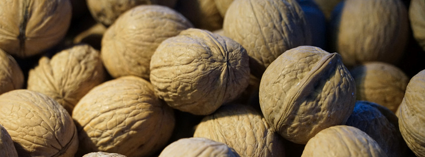 Walnüsse Banner FB-Banner Walnüsse Banner FB-Banner