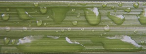Wassertropfen auf Gras FB-Banner