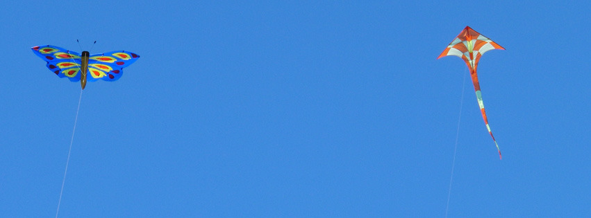 Zwei Drachen FB-Banner Zwei Drachen FB-Banner