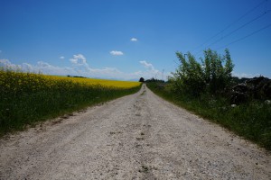 Feldweg zwischen Rapsfeld und Bahnstrecke 1 Feldweg zwischen Rapsfeld und Bahnstrecke 1