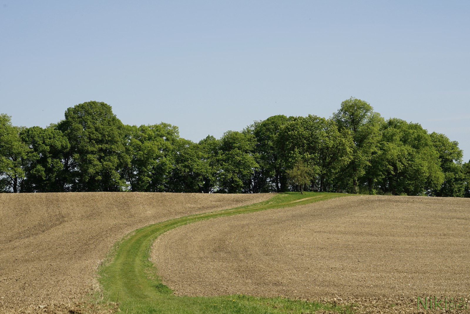 Grüner Weg Grüner Weg