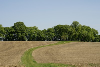  Feld & Waldwege