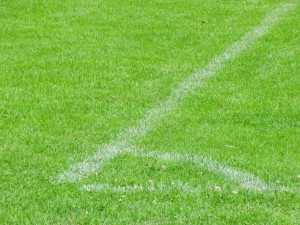 Fussballrasen Textur Fussballrasen Textur