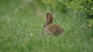 Ostern im Blickfeld