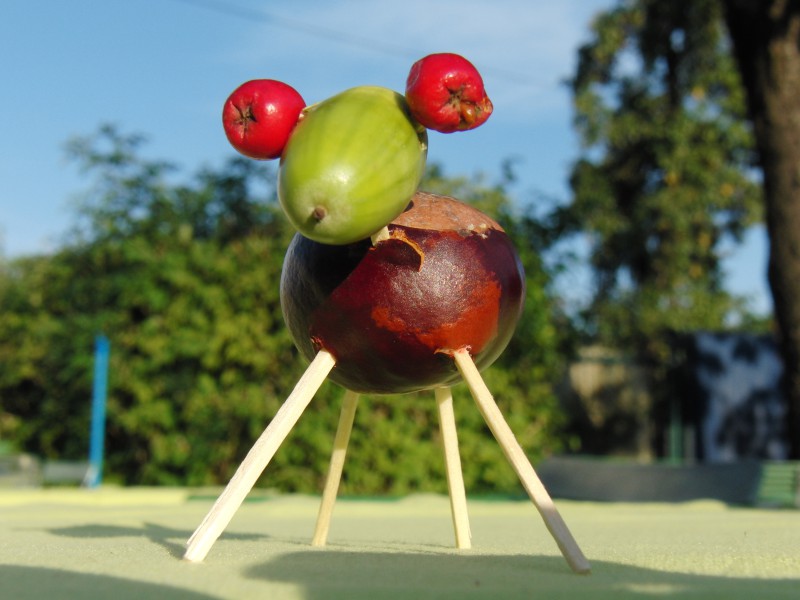  Bastelspass mit Herbstfrüchte