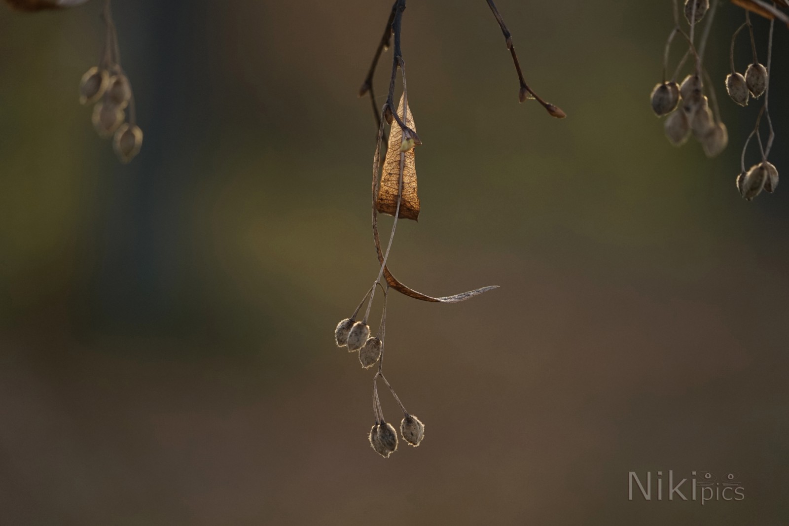 Bereit für den Weg zum nächsten Frühling Bereit für den Weg zum nächsten Frühling