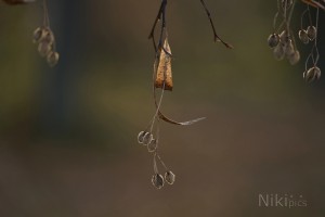 Bereit für den Weg zum nächsten Frühling