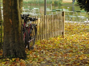 Fahrad im Herbst