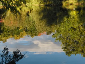 Herbstliches Spiegelbild im Parksee