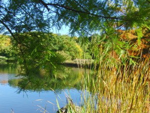 Herbstanfang am Westparksee