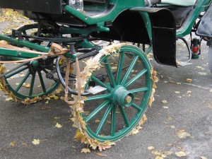Kutschenrad mit Laub
