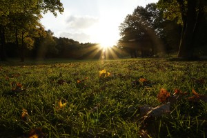 Oktobersonne im Park 