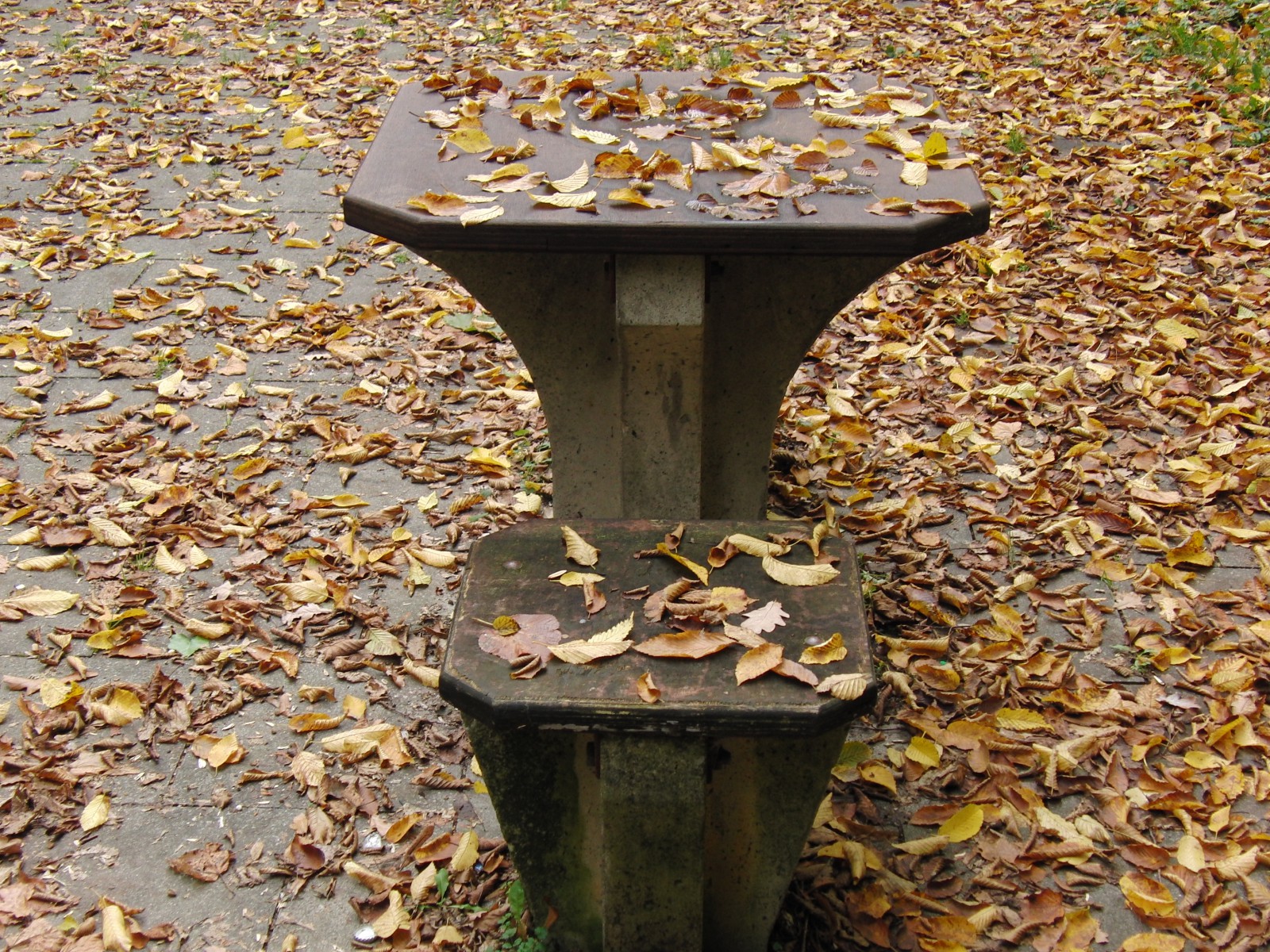 Verlassen im Herbst  Verlassen im Herbst