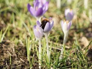 Rein in den Frühling Rein in den Frühling