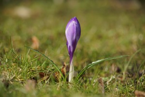 Startklar für den Frühling Startklar für den Frühling