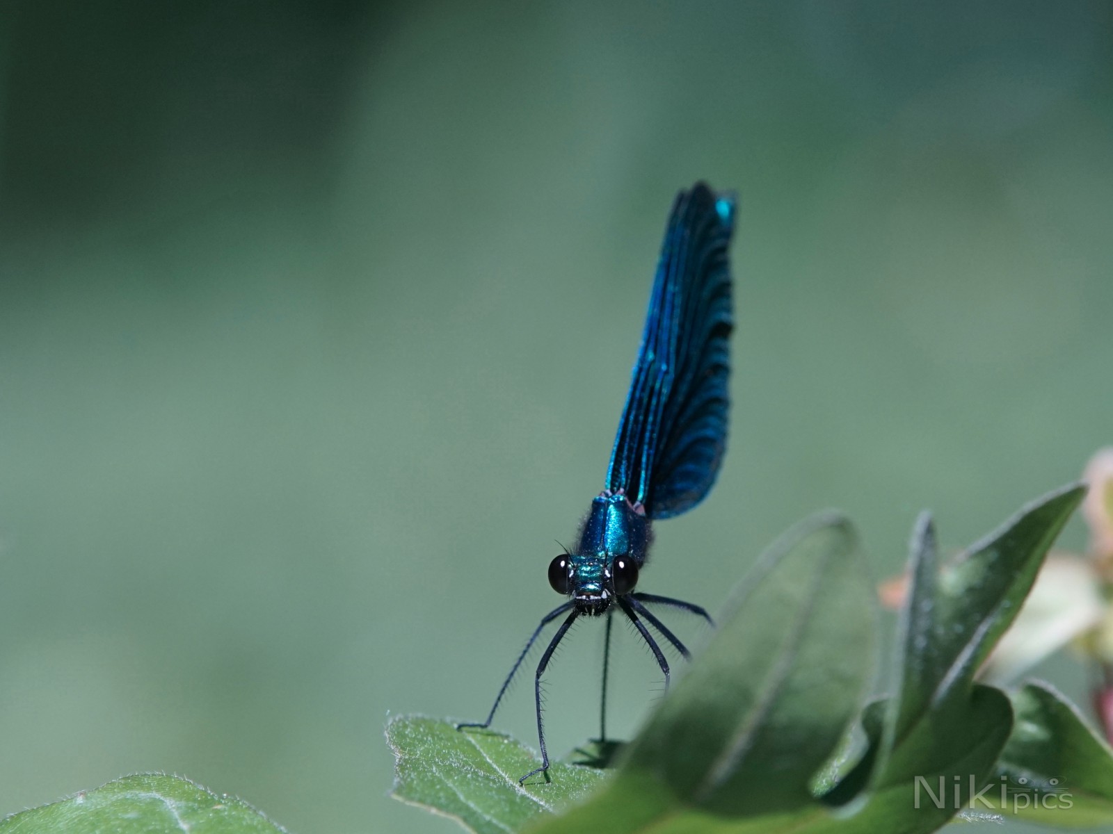 Habe alles im Blick  Habe alles im Blick