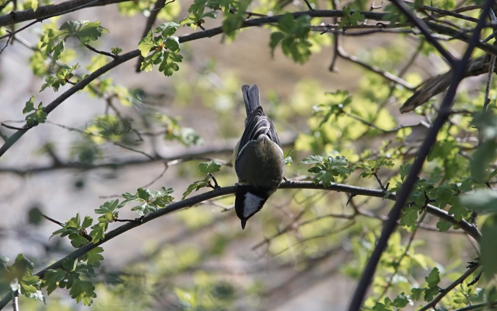 Was ist da unten los Was ist da unten los