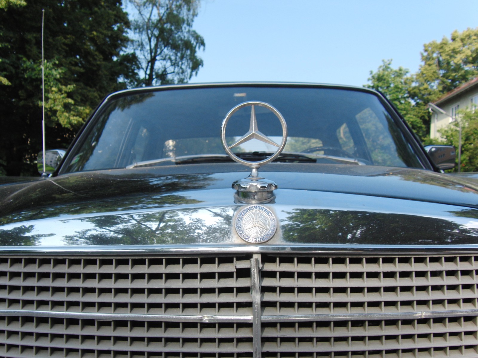 Edler Stern Edler Stern