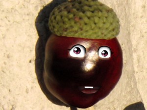 Profilbild Kastanien Sepp 5 Profilbild Kastanien Sepp 5