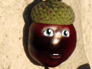 Profilbild Kastanien Sepp 4 Profilbild Kastanien Sepp 4