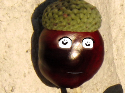 Profilbild Kastanien Sepp 3 Profilbild Kastanien Sepp 3