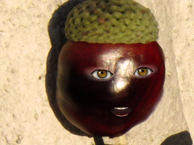 Profilbild Kastanien Sepp 1 Profilbild Kastanien Sepp 1