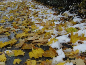 Ahornlaub und Schneematsch auf Gehweg